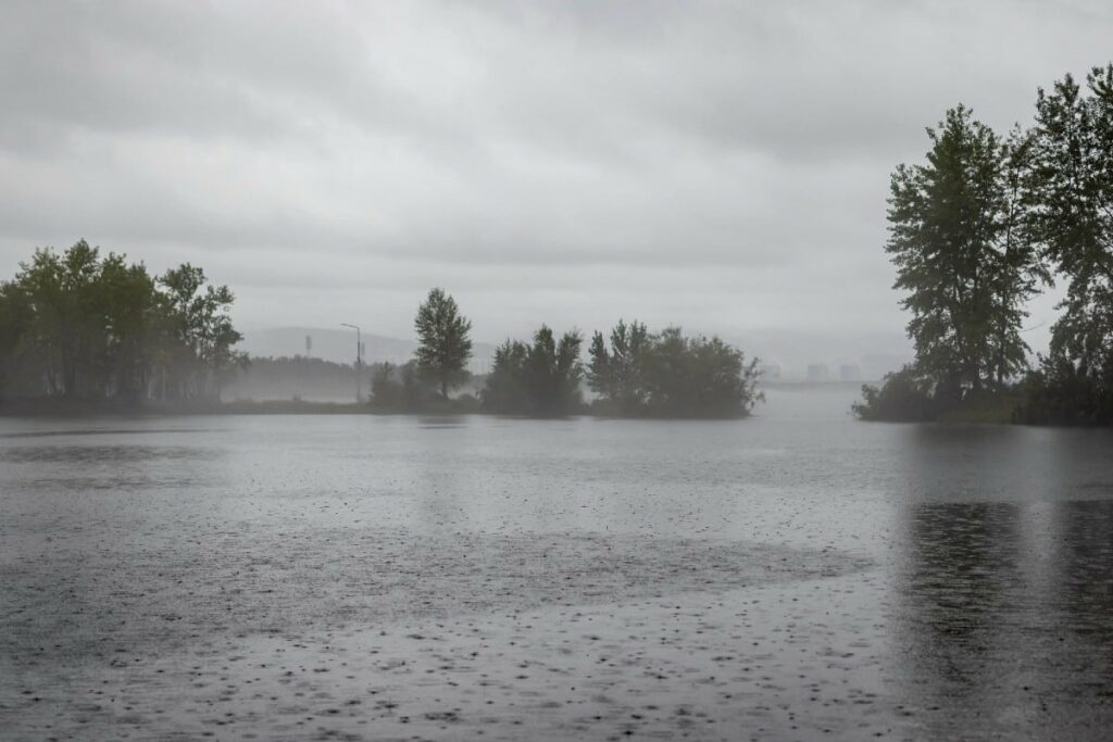 Flood rain